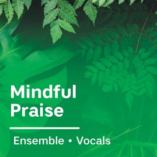 Mindful Praise