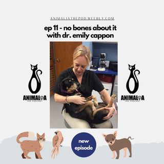 ANIMALIA 11 - No Bones About It - 23Oct20