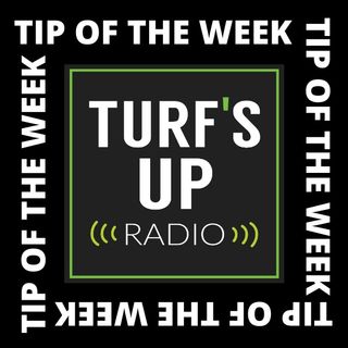 Turf's Up Radio | Tip of the Week