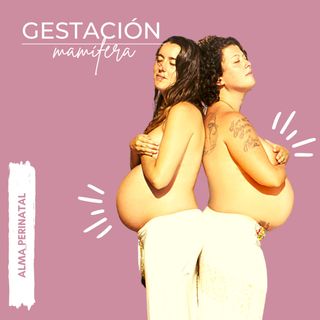 Gestación mamífera