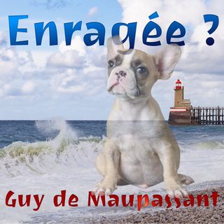Enragée, Guy de Maupassant (Livre audio)
