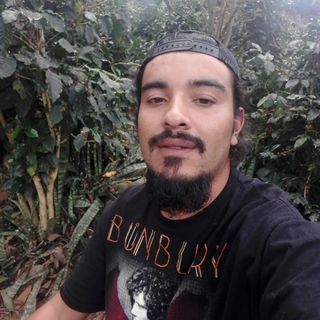 Luis Ulloa Picado