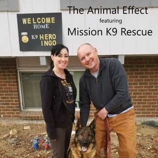Mission K9 Rescue