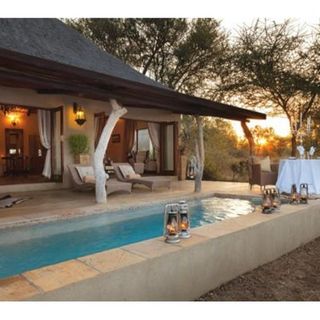 Safari and Beyond, Experience South Africa