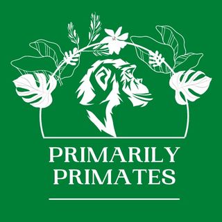 Episode 13 - The Purring Primate (TITIS)