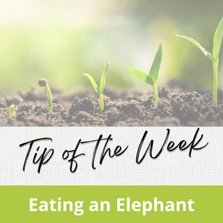 Tip of the Week- Eating An Elephant
