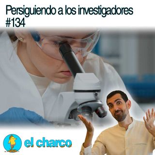Persiguiendo a los investigadores #134