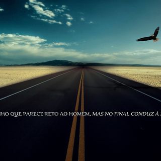Sonia Lisandro