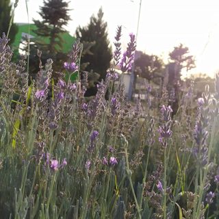 Doğa, Hayallerim ve Ben