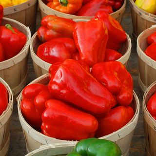 La crisis del pimiento morrón: EEUU paraliza su importación