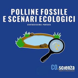 Polline fossile e scenari ecologici (Centoseiesima Puntata)