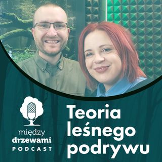 Między Drzewami #55 Teoria leśnego podrywu [Michał Wieciech]