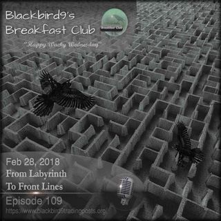 From Labyrinth To Front Lines - Blackbird9 Podcast