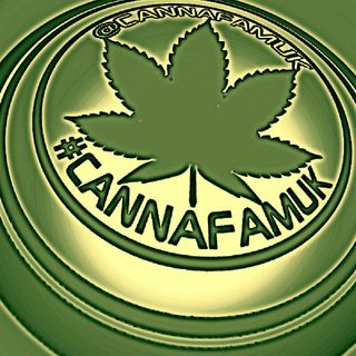 Dom @CannafamUK