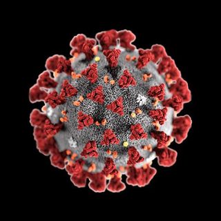 Coronavirus Update & Resources