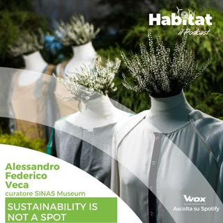 Sustainability is not a spot (Alessandro Federico Veca - Curatore SINAS Museum)