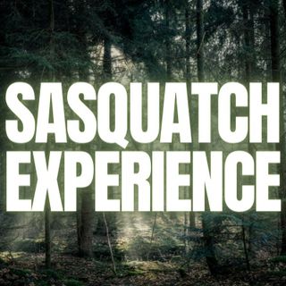 Sasquatch Experience