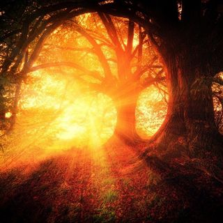 La Magia e l'Archetipo dello Stregone Errante - Live
