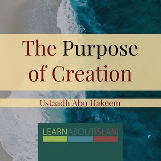 The Purpose Of Creation