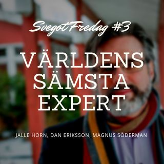 3. Christer Mattsson är världens sämsta expert