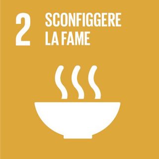 SDG 2 - Sconfiggere la fame