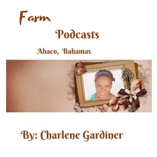 Charlene Gardiner