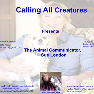 Calling All Creatures Presents The Animal Communicator, Sue London
