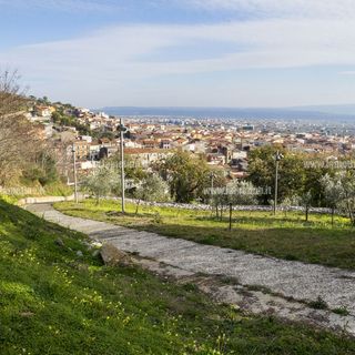 Giovanna Marchio