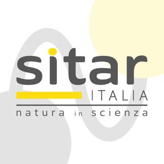 Sitar Italia