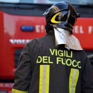 Vento forte: raffica di richieste di soccorso. Albero si abbatte su un’auto in zona stadio a Vicenza
