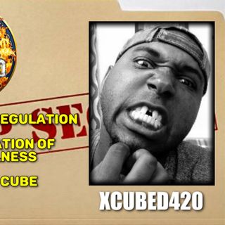 Thought Regulation - Normalization of Mentally Ill Behavior - Inside The Cube w/ XCubed420