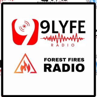 FOREST FIRES RADIO - BLEJO & HAZON