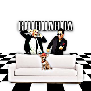 Chihuahua ospite Gene Gnocchi
