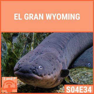 S04E34 | El gran Wyoming