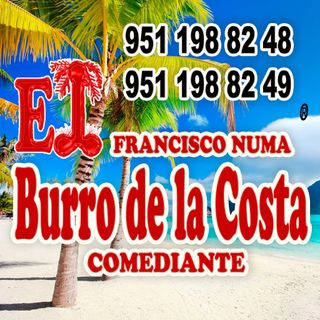 el burro de la costa