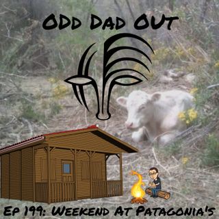 Weekend At Patagonia's: ODO 199