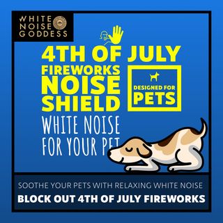 Protect Your Pets From Harmful Effects of Fireworks With Calming White Noise