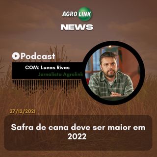 Fim do embargo chinês acelera exportação de carne de gado