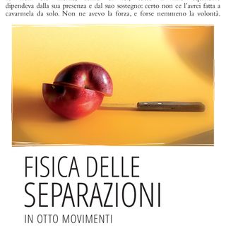 Giacomo Sartori "Fisica delle separazioni"