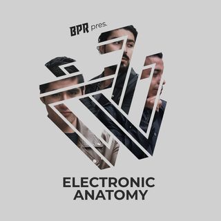 Electronic Anatomy