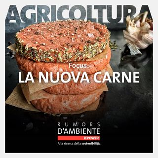 Focus: La nuova carne