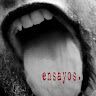 Ensayos de Lengua