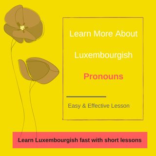 Lesson 14: Learn more about Luxembourgish personal pronouns