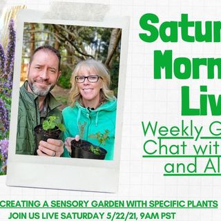 Saturday LIVE YT Garden Chat 5-22-2021 Flowering Herbs - Uses and Faves