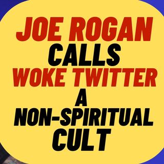 JOE ROGAN Rips WOKE Twitter In Clip