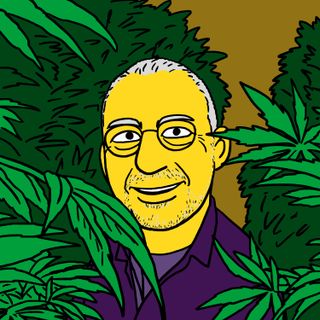 Time 4 Hemp - 03/30/17