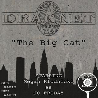 Dragnet: The Big Cat
