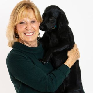 How TrustedHousesitters Connects Pet Parents with Pet Sitters