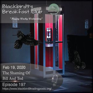 The Shaming Of Bill And Ted - Blackbird9 Podcast