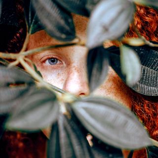 T2-Episodio 15 - La vergüenza